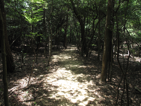 20140602hike (220)